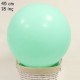 18 İnch 45 cm Makaron Balon Mint Yeşili, fiyatı